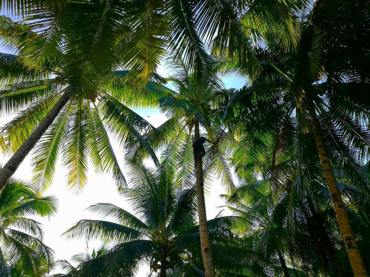 Apartament Siargao Residency Union  Zewnętrze zdjęcie